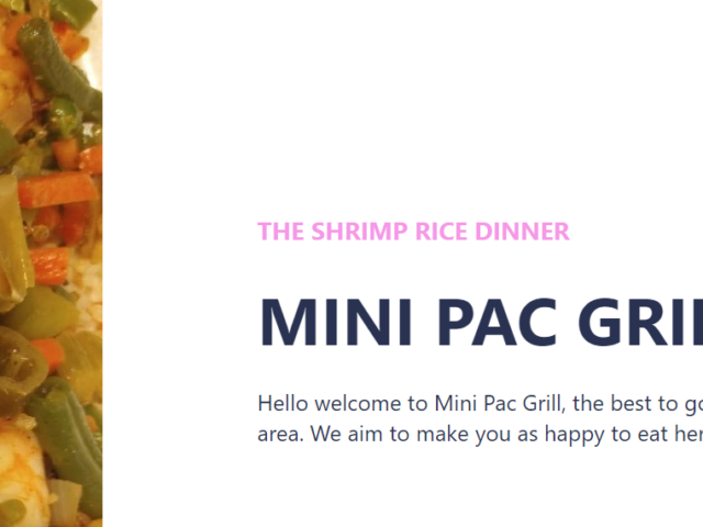 Mini Pac Grill